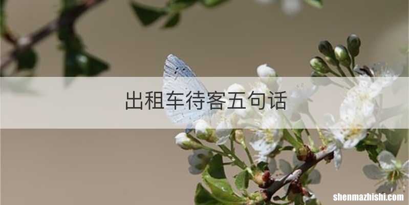 出租车待客五句话