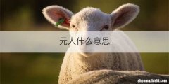 元人什么意思
