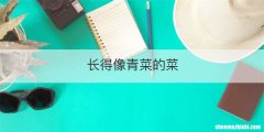长得像青菜的菜