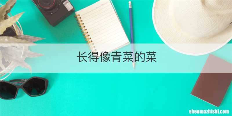 长得像青菜的菜