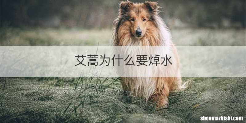 艾蒿为什么要焯水