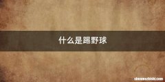 什么是踢野球