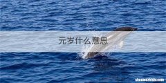 元岁什么意思