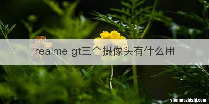 realme gt三个摄像头有什么用