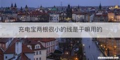 充电宝两根很小的线是干嘛用的