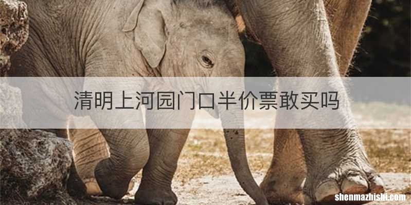 清明上河园门口半价票敢买吗