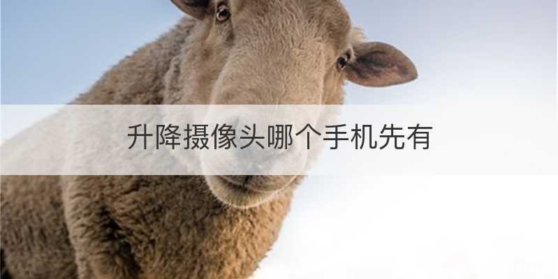 升降摄像头哪个手机先有