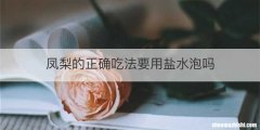 凤梨的正确吃法要用盐水泡吗