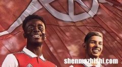 阿森纳战绩表最新