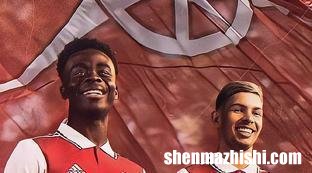 阿森纳战绩表最新