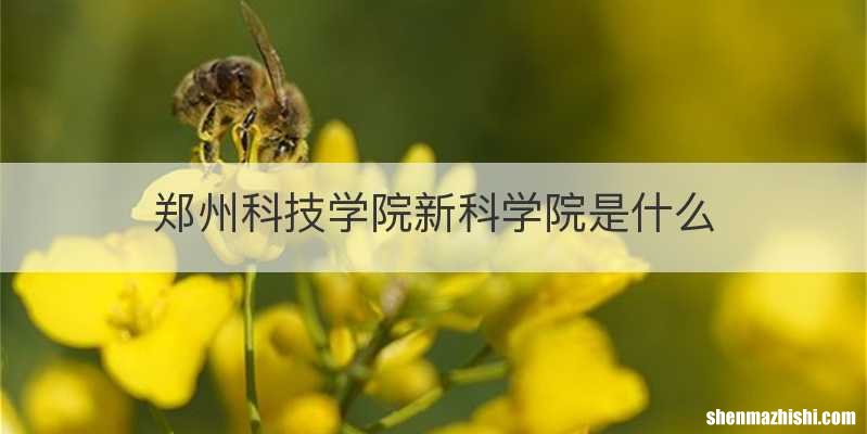 郑州科技学院新科学院是什么