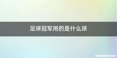 足球冠军用的是什么球