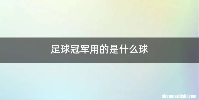 足球冠军用的是什么球