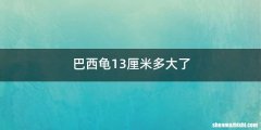 巴西龟13厘米多大了