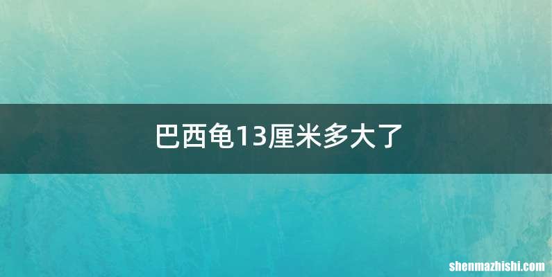 巴西龟13厘米多大了