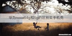 华为nova64g和5g的区别买手机壳