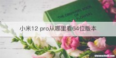 小米12 pro从哪里看64位版本