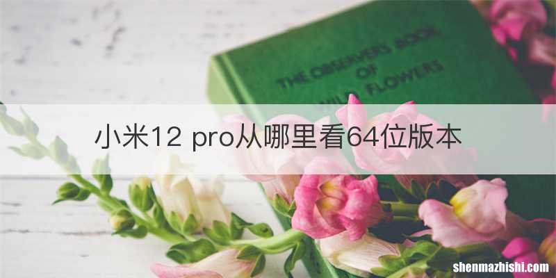 小米12 pro从哪里看64位版本