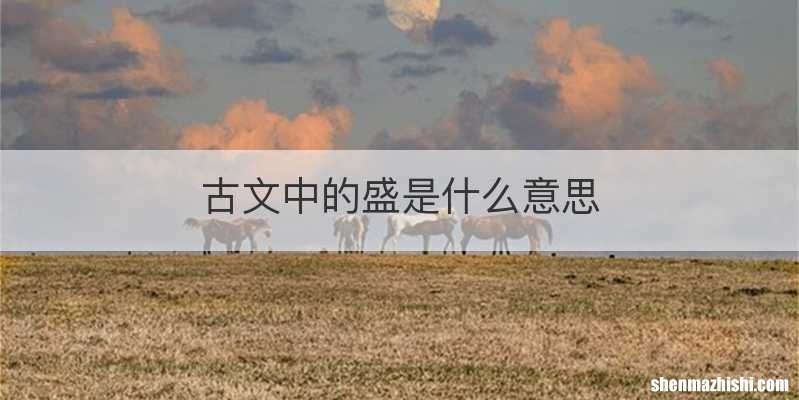 古文中的盛是什么意思