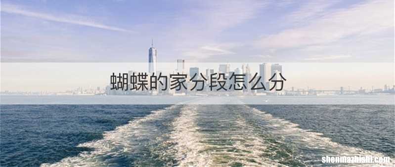 蝴蝶的家分段怎么分
