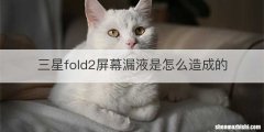 三星fold2屏幕漏液是怎么造成的