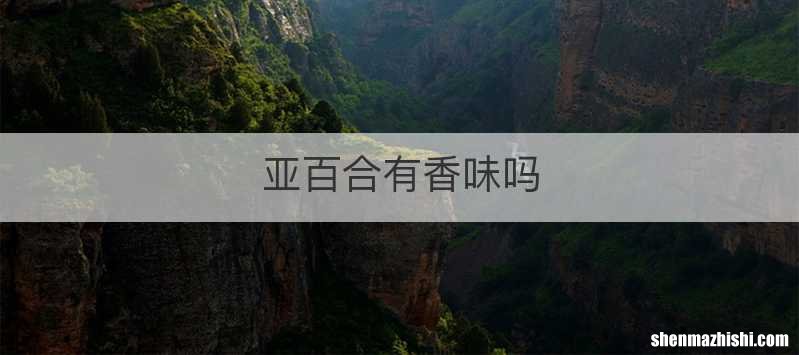 亚百合有香味吗