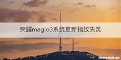 荣耀magic3系统更新指纹失灵