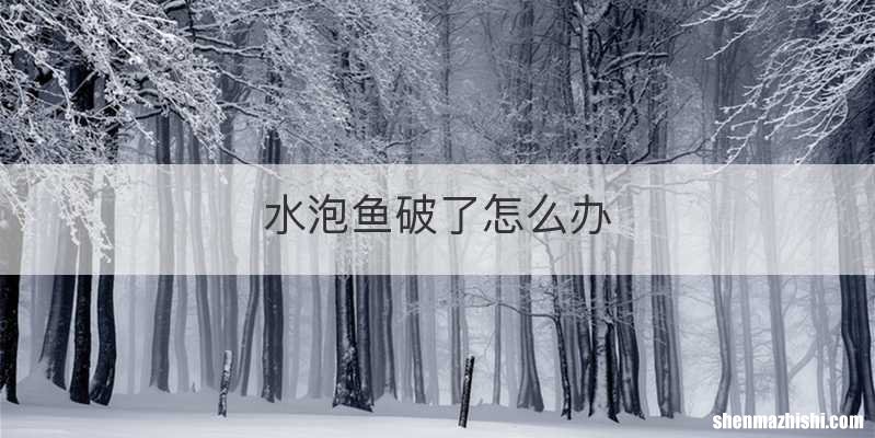水泡鱼破了怎么办