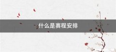 什么是赛程安排