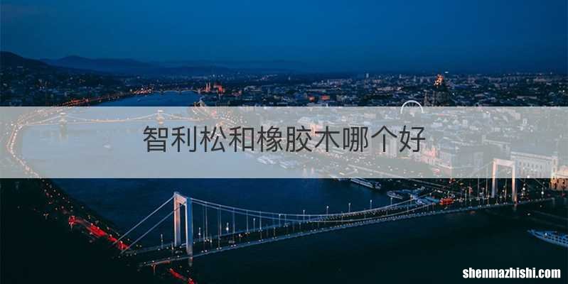 智利松和橡胶木哪个好