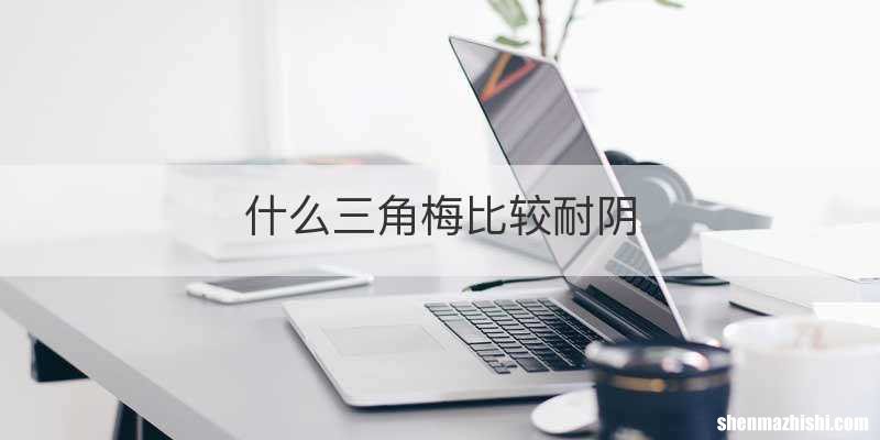 什么三角梅比较耐阴