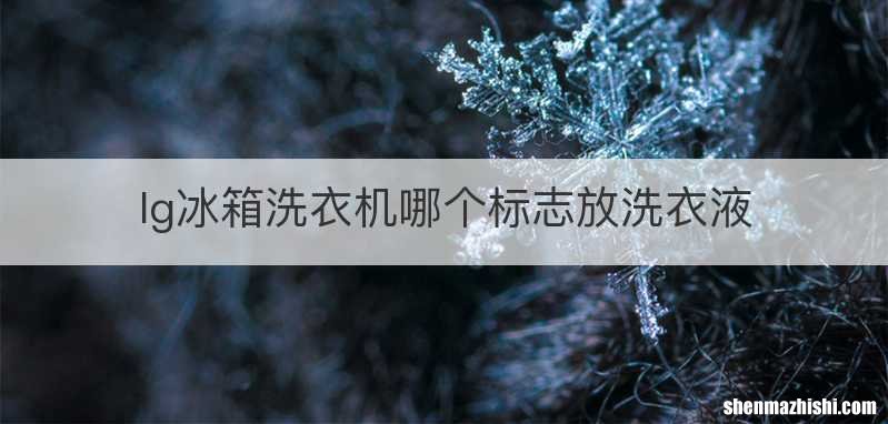 lg冰箱洗衣机哪个标志放洗衣液