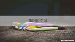 微阳同义词