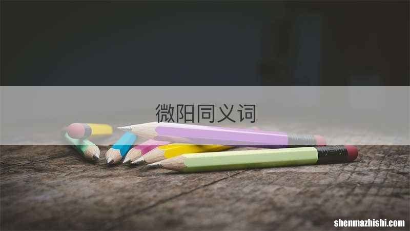 微阳同义词