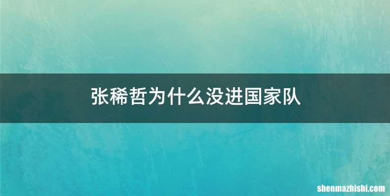 张稀哲为什么没进国家队