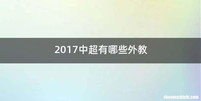 2017中超有哪些外教