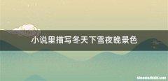 小说里描写冬天下雪夜晚景色
