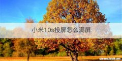 小米10s投屏怎么满屏