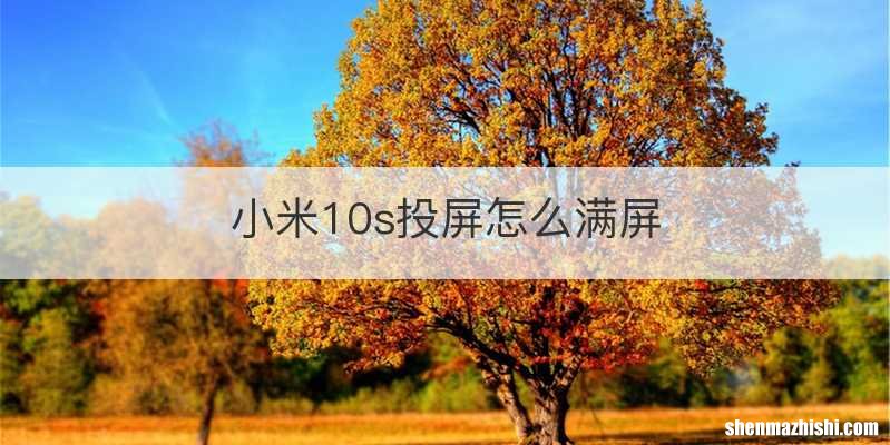 小米10s投屏怎么满屏