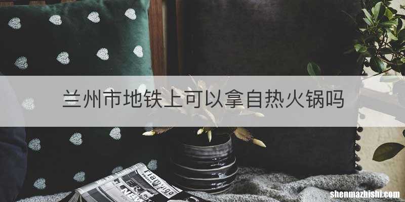 兰州市地铁上可以拿自热火锅吗