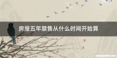 房屋五年禁售从什么时间开始算