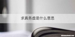 求真务虚是什么意思