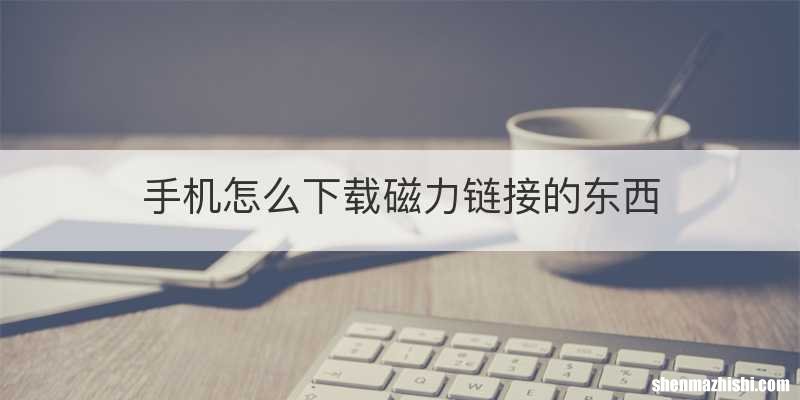 手机怎么下载磁力链接的东西