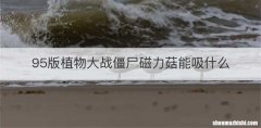 95版植物大战僵尸磁力菇能吸什么