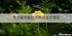 有水量伺服器还需恒温花洒吗