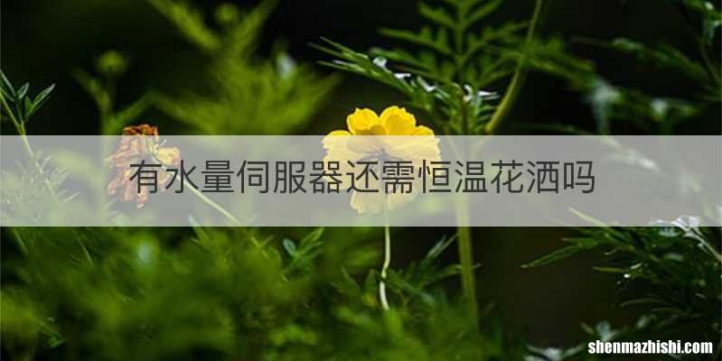 有水量伺服器还需恒温花洒吗