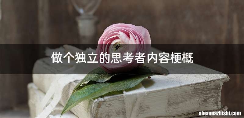 做个独立的思考者内容梗概