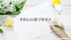 手机6.63英寸有多大