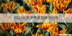 2024北京中考体育得分标准