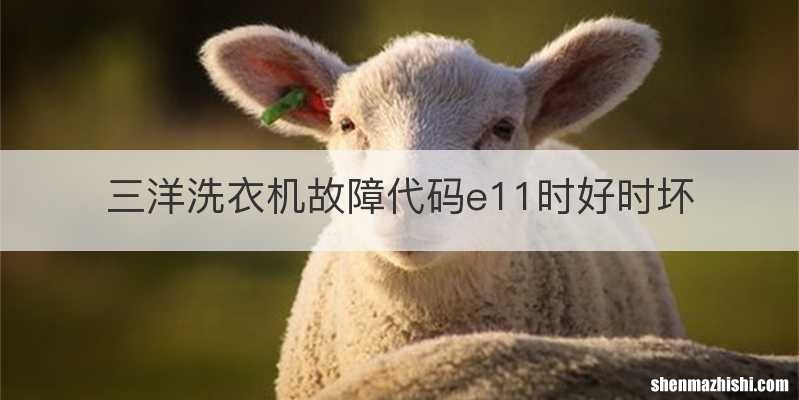 三洋洗衣机故障代码e11时好时坏